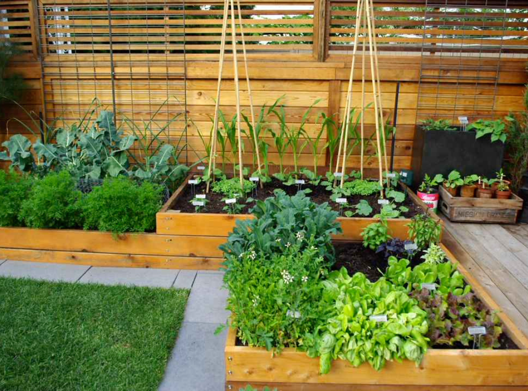 El Poder Transformador de las Huertas Comunitarias